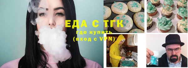ECSTASY Алзамай