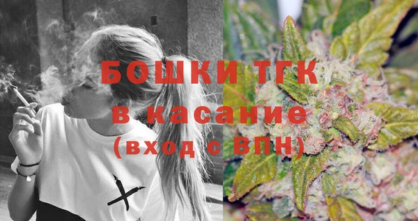 гидра Алексеевка