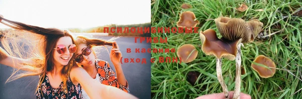 ECSTASY Алзамай