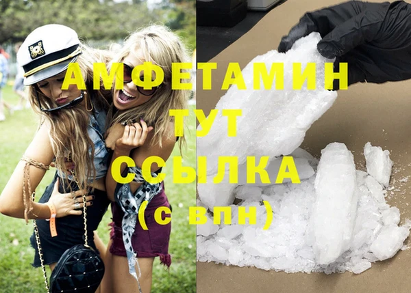 гидра Алексеевка