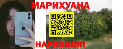 крисы Рыбинск