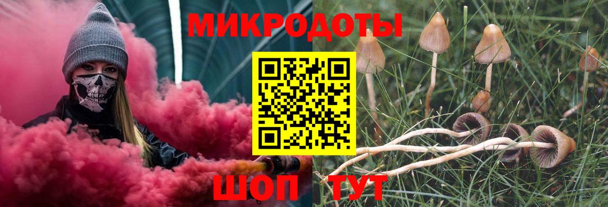Галлюциногенные грибы GOLDEN TEACHER Ставрополь