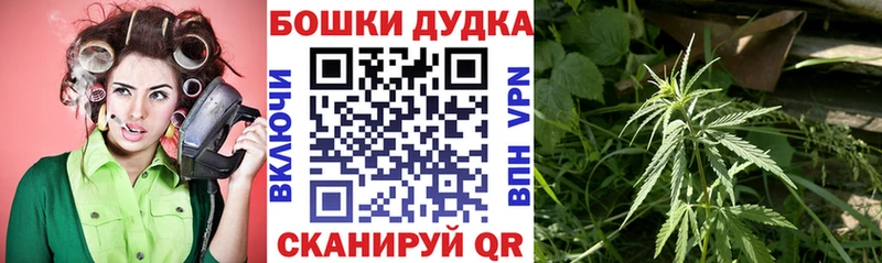 Марихуана конопля  дарнет шоп  Ставрополь 